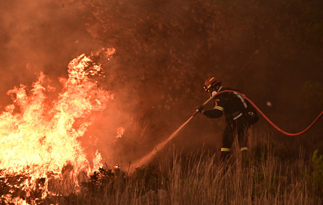 Σε-εξέλιξη-οι-αυτοψίες-για-την-καταγραφή-ζημιών-από-τις-φωτιές-σε-Χίο-και-Ζάκυνθο-–-«Να-είναι-παρόντες-οι-ιδιοκτήτες»