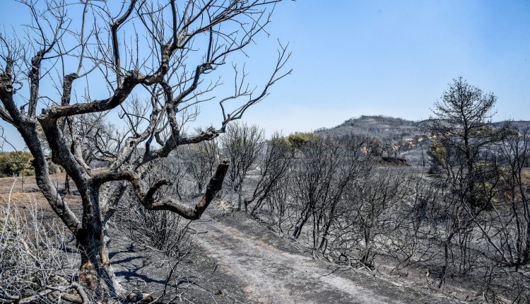 Πάτρα:-Προφυλακιστέοι-οι-δύο-νεαροί-για-τον-εμπρησμό-στα-Συχαινά-–-Σήμερα-στον-ανακριτή-ο-25χρονος-για-τη-φωτιά-στο-Γηροκομειό-–-Κυβερνητικό-κλιμάκιο-στην-περιοχή