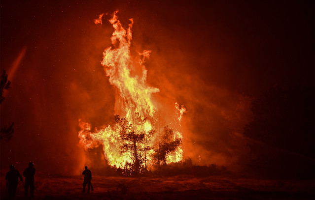 Δασοκομάντος-και-πυροσβεστικά-αεροπλάνα-στέλνει-η-Ελλάδα-σε-Ισπανία-και-Πορτογαλία-για-τις-μεγάλες-πυρκαγιές