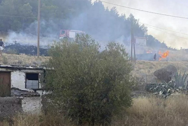 Ανήλικος-άναψε-φωτιά-στα-Δάφια-Λέσβου-επειδή-τον-ενοχλούσαν-τα-χόρτα-–-Συνελήφθη