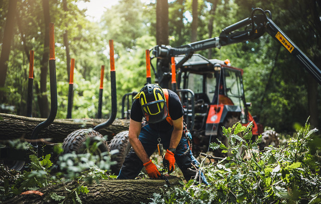 Μέτσοβο:-Πήγε-να-κόψει-ξύλα-στο-δάσος,-καταπλακώθηκε-από-δέντρο-και-δίνει-μάχη-για-τη-ζωή-του