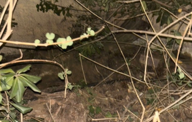 Κλειστό-το-Άλσος-Χωροφυλακής-μέχρι-νεωτέρας