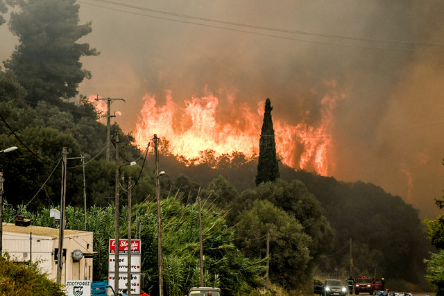 Πάτρα:-Πώς-η-μεγάλη-φωτιά-άλλαξε-τη-βλάστηση-και-το-μικροκλίμα-–-«Τα-πράγματα δεν-θα-είναι-τα-ίδια-από-εδώ-πέρα»
