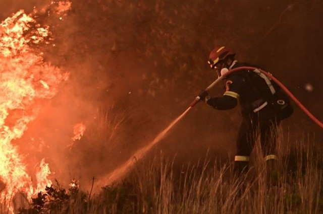 Ενισχύθηκαν-οι-δυνάμεις-της-πυροσβεστικής-στη-δασική-φωτιά-στο-Μακροχώρι-Καστοριάς-–-Δεν-απειλεί-οικισμούς