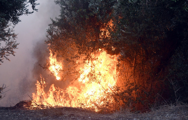 Φωτιά-στη-Μεσσηνία-–-Πλησιάζει-σπίτια-στον-Μελιγαλά,-μήνυμα-του-112-για-απομάκρυνση-από-την-περιοχή
