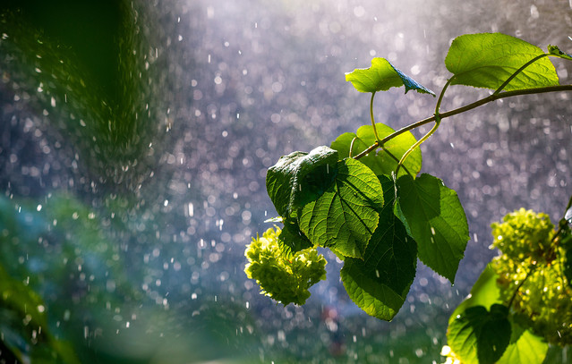 Βροχές-και-ζέστη,-στα-δύο-«κομμένη»-η-χώρα-το-Σαββατοκύριακο-–-Τι-καιρό-θα-κάνει-και-πόσο-θα-δείχνουν-τα-θερμόμετρα
