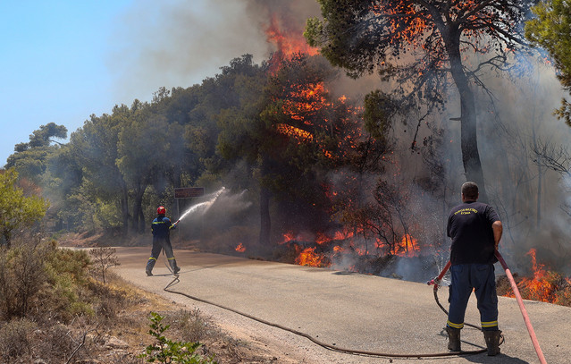 Σε-ύφεση-η-δασική-φωτιά-στο-Σύνδενδρο-Γρεβενών-–-Νέα-φωτιά-στην-περιοχή-Δοξαρά-κοντά-στην-πόλη