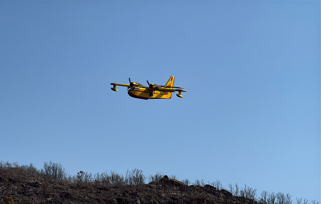 Φωτιά-τώρα-στο-Σκάλωμα-Αγρινίου