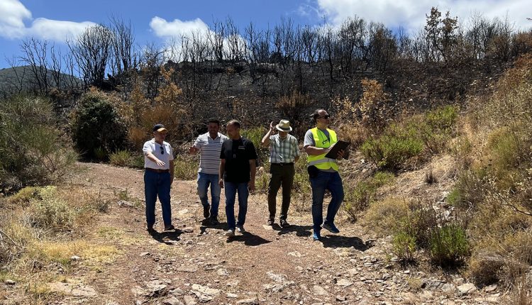 Αυτοψία-στις-πυρόπληκτες-περιοχές-του-Δήμου-Τριφυλίας