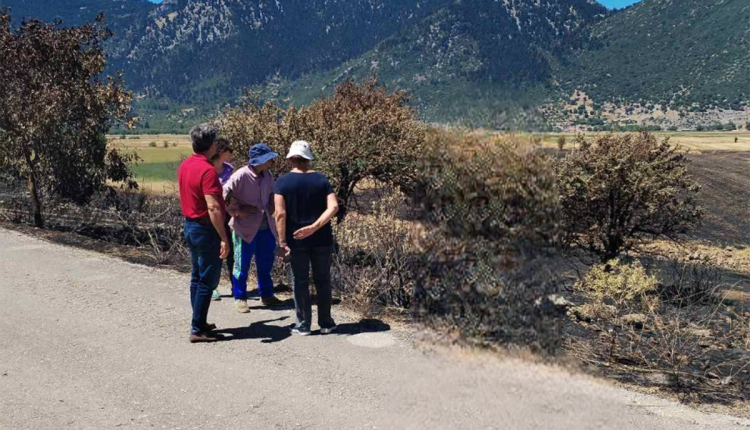 Αυτοψία-στις-πληγείσες-περιοχές-της-Ορεινής-Κορινθίας-από-τον-ΕΛΓΑ-και-την-Περιφέρεια-Πελοποννήσου-–-Περιφέρεια-Πελοποννήσου