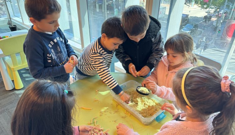 Τα-Σχολεία-της-Ελληνικής-Κοινότητας-Μελβούρνης-ενισχύουν-την-ελληνομάθεια-των-παιδιών-της-παροικίας