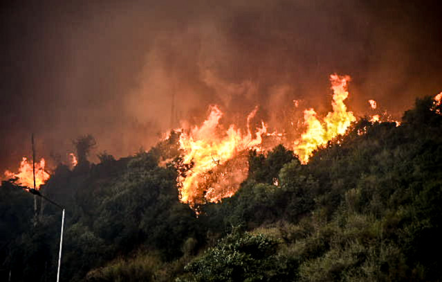 Οι-μεγαλύτερες-δασικές-πυρκαγιές-στην-Ελλάδα-το-καλοκαίρι-του-2025-–-Η-5η-χειρότερη-χρονιά-από-το-2006