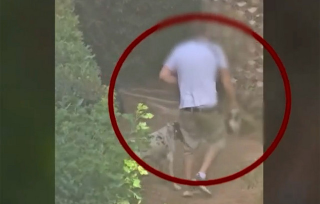 Σοκ-στην-Πεύκη:-Άνδρας-εκπαιδεύει-κυνηγόσκυλα-σκοτώνοντας-γατάκια-σε-πάρκο-–-Τους-δίνει-εντολές-να-τα-πνίγουν