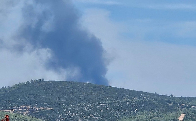 Φωτιά-τώρα-σε-δασική-έκταση-στην-Πυλαία-Θεσσαλονίκης-–-Ήχησε-το-112