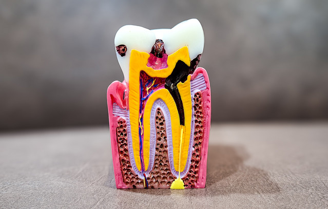 Ξεκίνησαν-δοκιμές-φαρμάκου-σε-ανθρώπους-που-αναγεννάει-τα-χαμένα-ή-κατεστραμμένα-δόντια