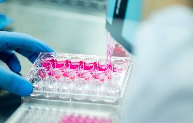 Ανοσία-από-τον-καρκίνο-με-μία-ένεση-–-Πρωτοποριακή-μελέτη-από-ερευνητές-του-Στάνφορντ