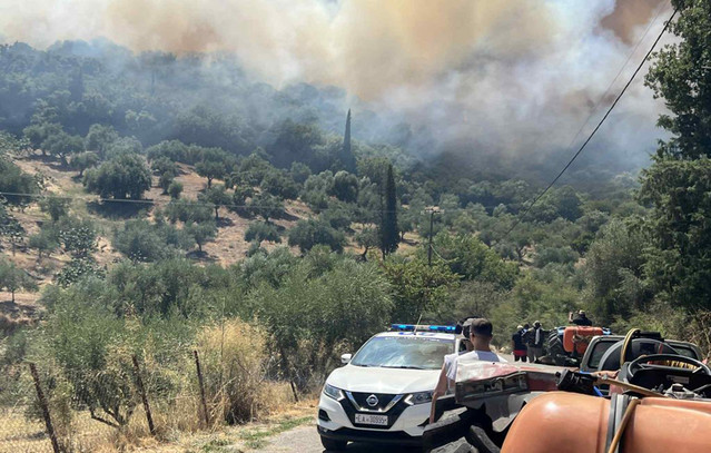 Φωτιά-σε-αγροτοδασική-έκταση-στην-περιοχή-Λαγόμανδρα-στη-Χαλκιδική
