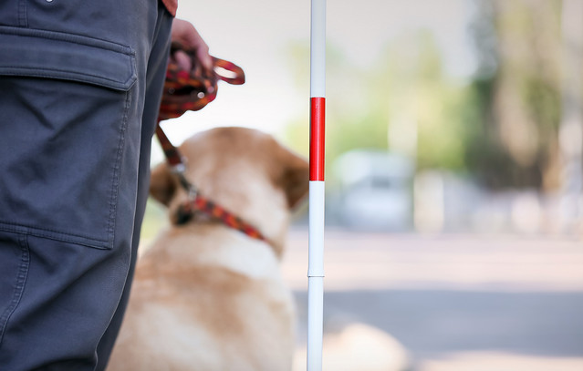 Πάρης-Ορφανός-για-τον-ταξιτζή-που-αρνήθηκε-κούρσα-σε-Παραολυμπιονίκη,-λόγω-του-σκύλου-οδηγού-της:-«Θα-υποστεί-τις-κυρώσεις»