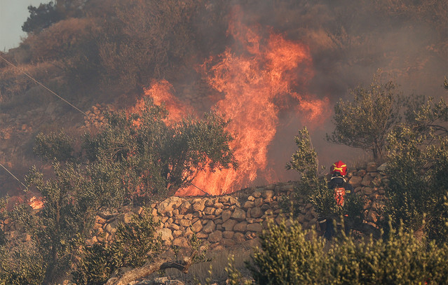 Φωτιά-στη-Φθιώτιδα-–-Σηκώθηκαν-εναέρια