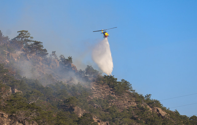 Φωτιά-στο-Πολυδάμειο-Λάρισας-–-Επιχειρούν-εναέρια
