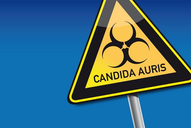 Επικίνδυνος-μύκητας:-Η-Ελλάδα-ανάμεσα-στις-χώρες-με-τα-περισσότερα-κρούσματα-στην-Ευρώπη-–-Ποιοι-κινδυνεύουν-και-σε-ποιους-χώρους