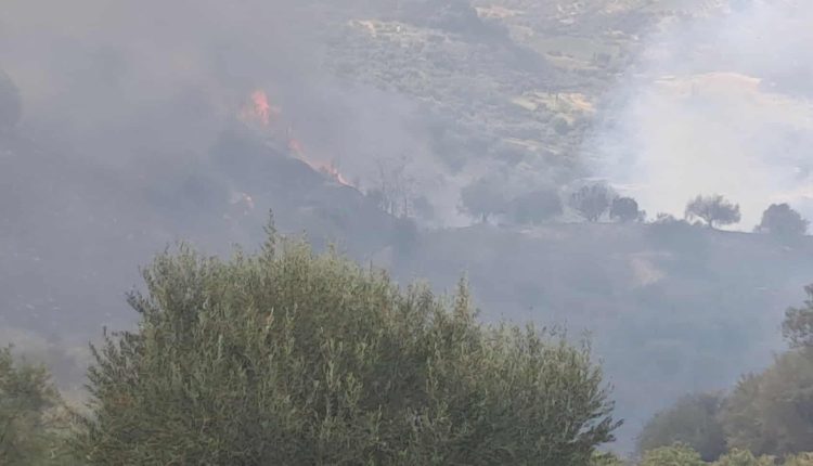 Φωτιά-τώρα-στο-Άλσος-Αχαΐας-–-Απανωτά-μηνύματα-του-«112»-για-απομάκρυνση-κατοίκων-από-οικισμούς-–-Ενισχυμένες-δυνάμεις-με-11-εναέρια-μέσα-–-ertnews.gr