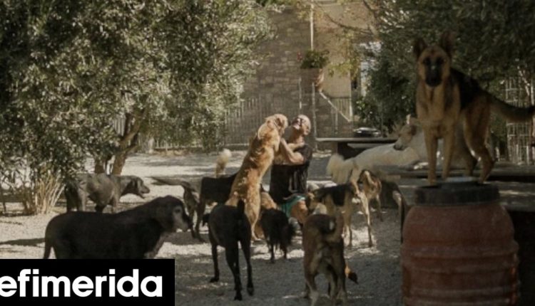 Η-συγκινητική-ιστορία-του-takis-shelter-και-του-ιδρυτή-του,-Τάκη-Προεστάκη-έγινε-ντοκιμαντέρ