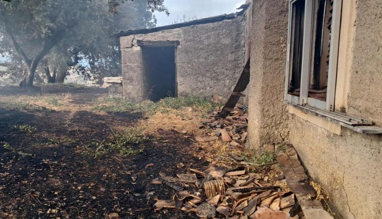 Φωτιά-τώρα-στο-Άλσος-Αχαΐας:-Βελτιωμένη-εικόνα-από-το-μέτωπο-–-Παραδόθηκαν-στις-φλόγες-αγροτοδασική-έκταση-και-δύο-αγροικίες-–-Αναζωπύρωση-στη-Λάκκα-–-ertnews.gr