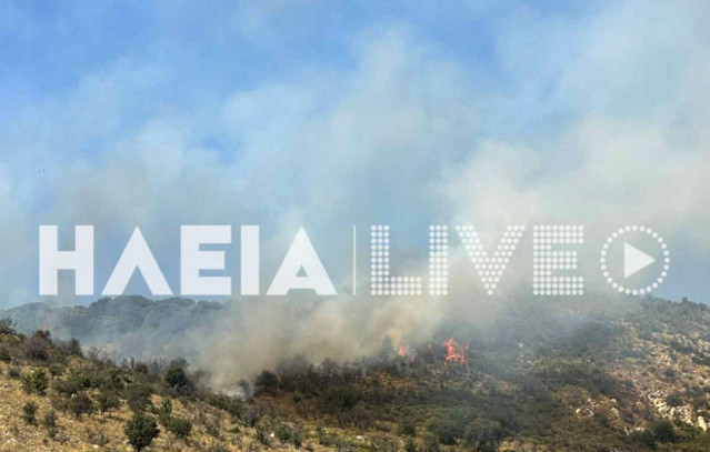 Φωτιά-τώρα-σε-δασική-έκταση-στη-Σπαρτουλιά-Ηλείας-–-Επιχειρούν-εναέρια-μέσα