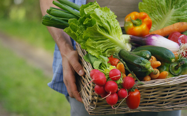 5-λαχανικά-που-μειώνουν-το-σπλαχνικό-λίπος