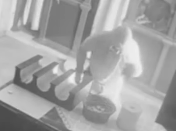 Άγνωστος-εισέβαλε-στη-Μονή-Αφέντη-Χριστού-Γιούχτα-–-Καρέ-καρέ-η-προσπάθεια-του-να-διαρρήξει-το-παγκάρι