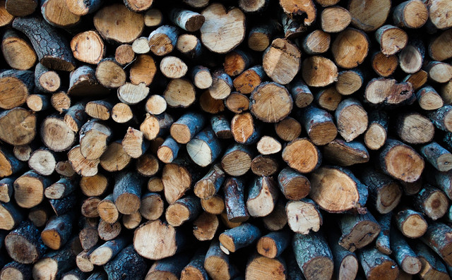 Χειροπέδες-σε-65χρονο-για-παράνομη-υλοτομία-στο-δάσος-της-Αρέθουσας-–-Κατηγορούνται-δύο-ακόμη-άτομα