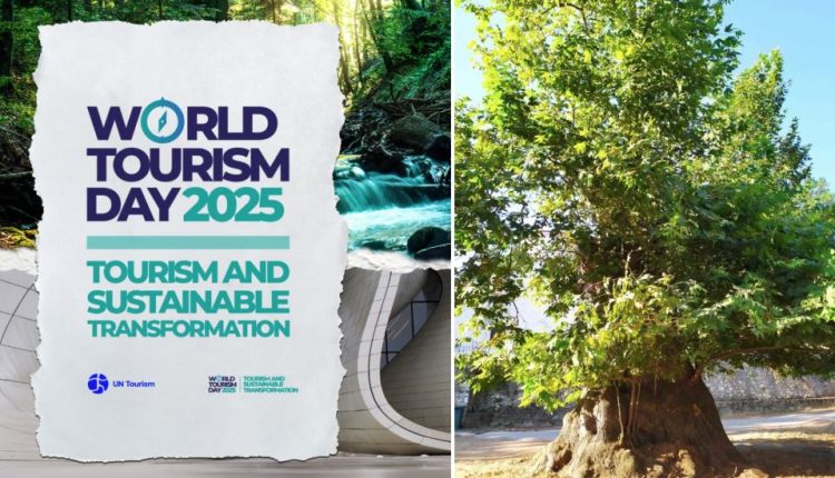 Ένταξη-μνημειακού-πλατάνου-Αγ.-Ιωάννη-Αρκαδίας-στο-Δίκτυο-Αιωνόβιων-Δέντρων-Ελληνικής-Επανάστασης