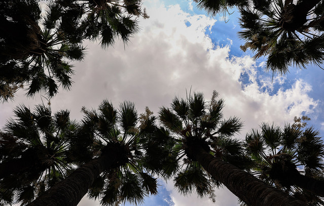 Ο-καιρός-σήμερα-26/9/2025