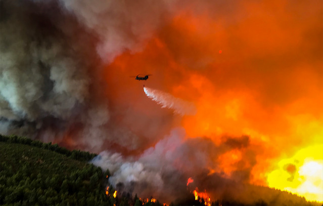 Καπνός-και-διοξείδιο-του-άνθρακα:-Πώς-οι-δασικές-πυρκαγιές-επιβαρύνουν-την-ατμόσφαιρα-και-την-υγεία-στην-Ελλάδα-το-2025