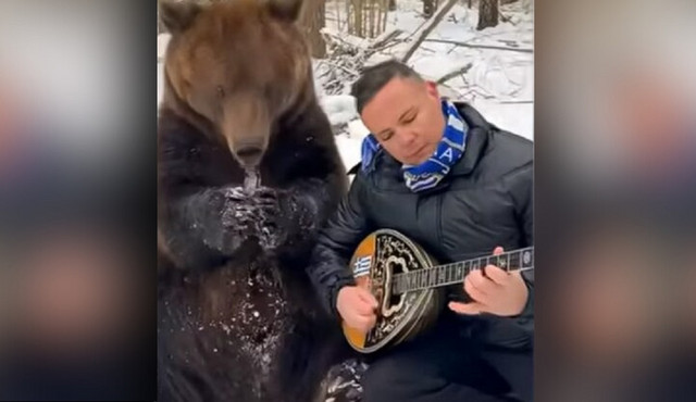 Λαρισαίος-μουσικός-παίζει-μπουζούκι-παρέα-με-αρκούδα-στη-Ρωσία-–-Το-viral-το-«Ζεϊμπέκικο-της-Ευδοκίας»-με-τον-απρόσμενο-ακροατή