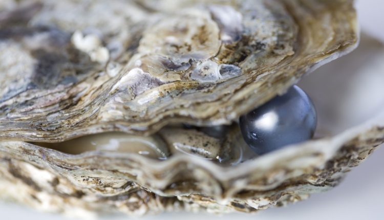 Το-ένα-μαργαριτάρι