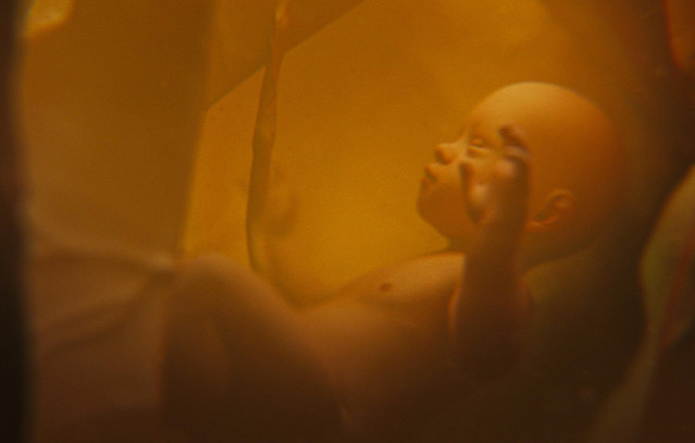 Επιστημονική-επανάσταση:-Δημιούργησαν-ανθρώπινα-έμβρυα-από-dna-δέρματος