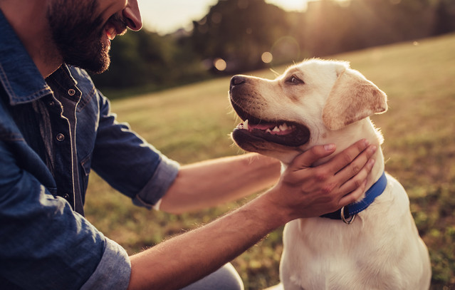 Δίπλα-στους-πιο-πιστούς-μας-φίλους-κάθε-μέρα
