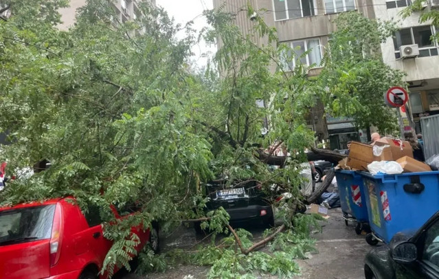 Ατύχημα-λόγω-της-κακοκαιρίας-στην-Εμμανουήλ-Μπενάκη-–-Έπεσε-δέντρο-στον-δρόμο,-τραυματίστηκε-περαστικός