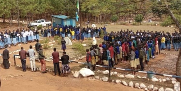 Ελπίδα-μέσα-από-τις-στάχτες