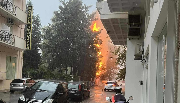 Προβλήματα-από-τη-δυνατή-βροχή-στην-Πάτρα-–-Κεραυνός-έκαψε-δέντρο-έξω-από-σπίτι-στη-Ναύπακτο-–-ertnews.gr