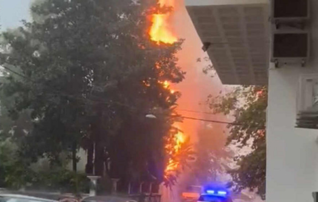 Κακοκαιρία-στη-Ναύπακτο:-Κεραυνός-έβαλε-φωτιά-σε-δέντρο