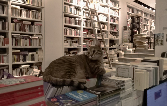 Έκλεισε-το-ιστορικό-βιβλιοπωλείο-«Επί-Λέξει»-–-«Να-διαβάζετε-και-να-στηρίζεται-τα-μικρά-καταστήματα»