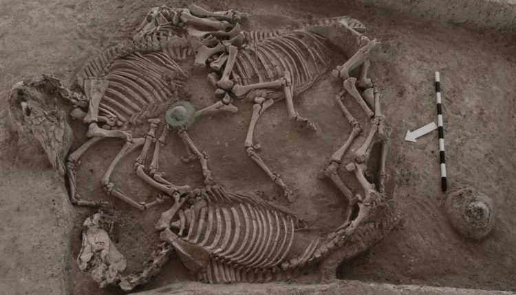 Οργανώνεται-η-μόνιμη-έκθεση-στον-ταφικό-τύμβο-της-Μικρής-Δοξιπάρας-Ζώνης,-στην-Ορεστιάδα-του-Έβρου