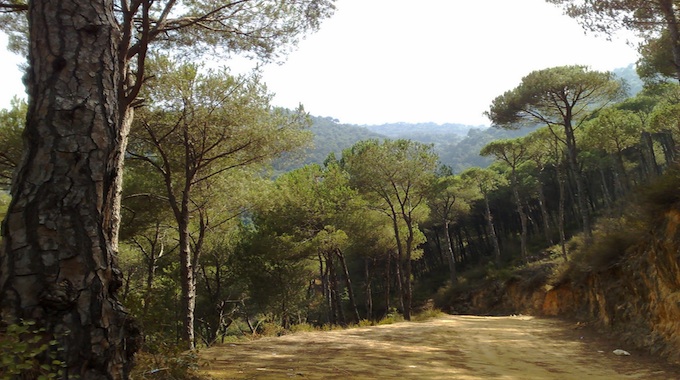 Όταν-η-καρδιά-δεν-έχη-τον-Χριστόν…
