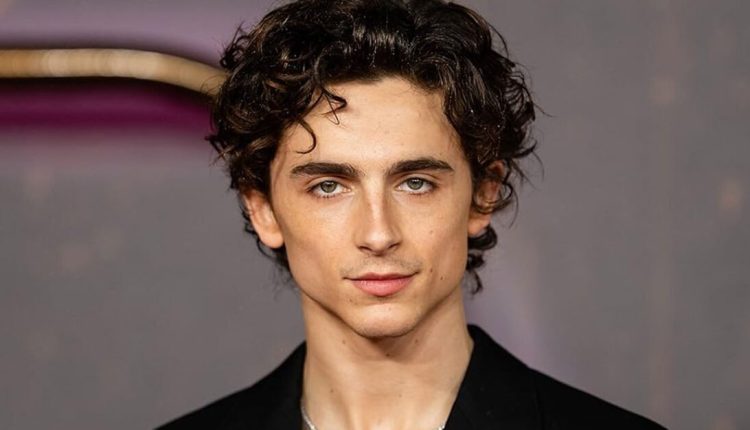 timothee-chalamet