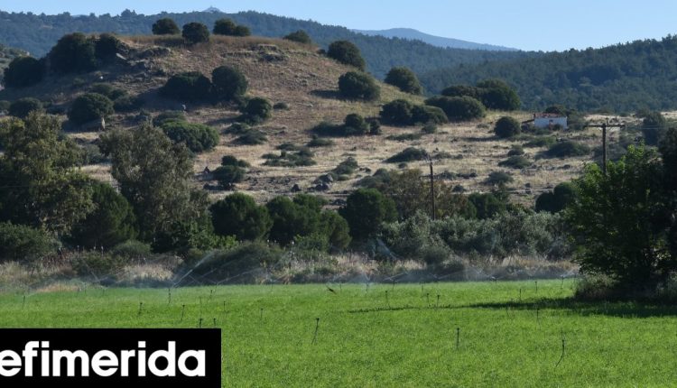 aρχαία-Αρίσβη:-Ανασκαφή-και-ανάδειξη-της-ξεχασμένης-αρχαίας-πόλης-κράτους-της-Λέσβου-Ορατά-τα-ερείπιά-της