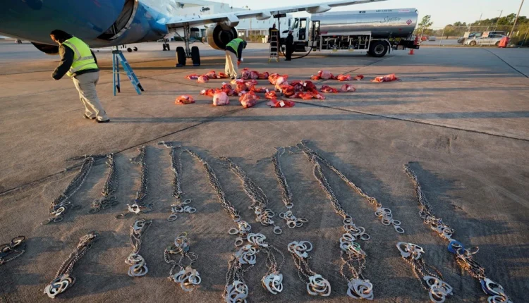 Οι-ΗΠΑ-ξεκίνησαν-απελάσεις-μεταναστών-προς-τη-Γουατεμάλα