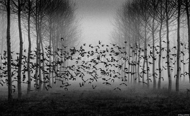 “Θα-συντριβεί”